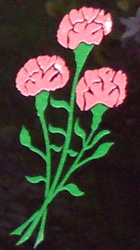 Carnation design